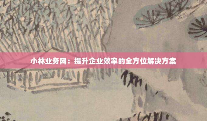 小林业务网：提升企业效率的全方位解决方案