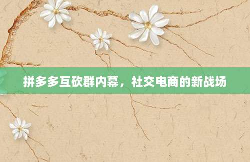 拼多多互砍群内幕，社交电商的新战场