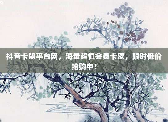 抖音卡盟平台网，海量超值会员卡密，限时低价抢购中！