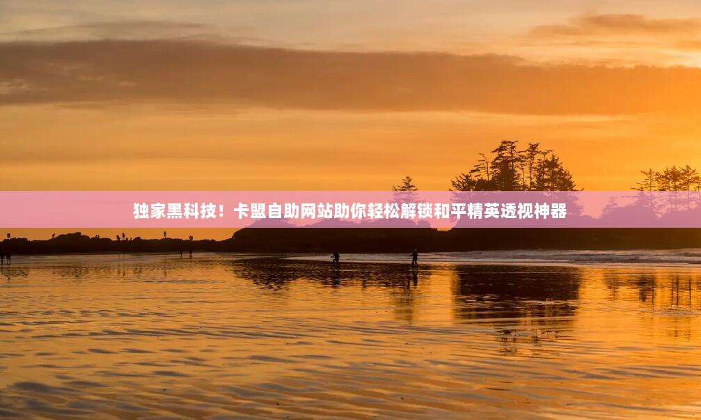 独家黑科技！卡盟自助网站助你轻松解锁和平精英透视神器