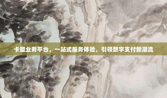 卡盟业务平台，一站式服务体验，引领数字支付新潮流