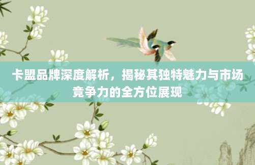 卡盟品牌深度解析，揭秘其独特魅力与市场竞争力的全方位展现