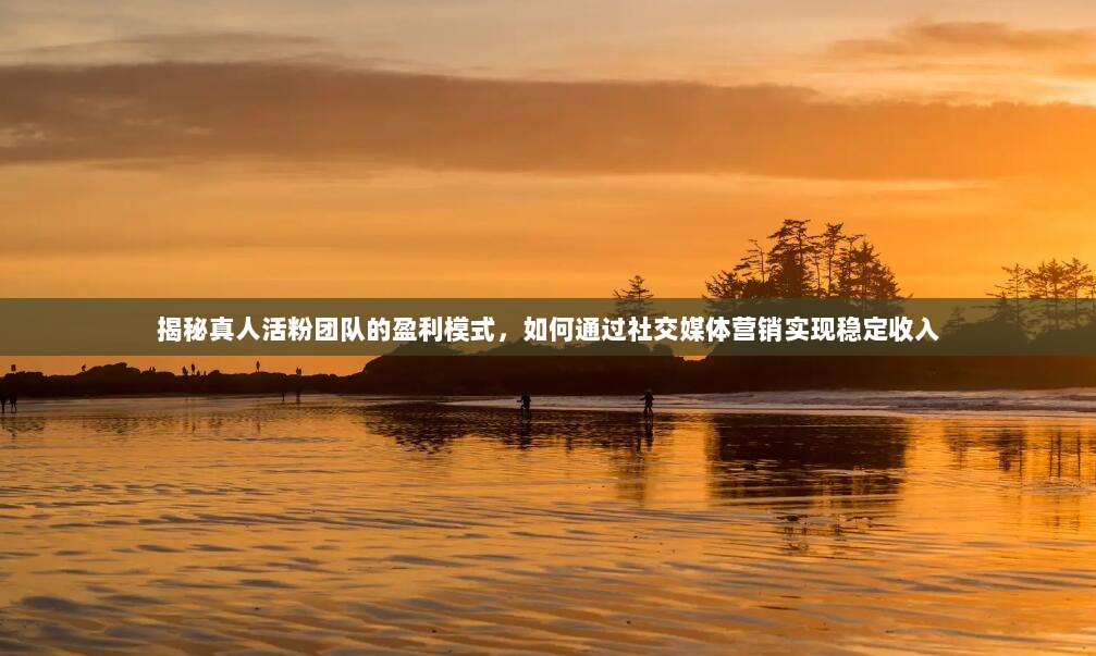 揭秘真人活粉团队的盈利模式，如何通过社交媒体营销实现稳定收入