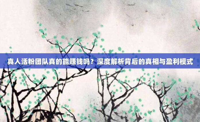 真人活粉团队真的能赚钱吗？深度解析背后的真相与盈利模式