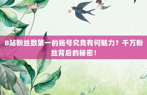 B站粉丝数第一的账号究竟有何魅力?千万粉丝背后的秘密!