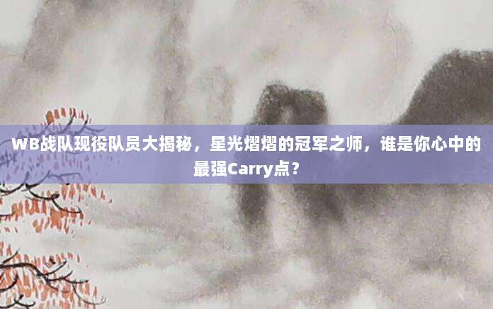 WB战队现役队员大揭秘，星光熠熠的冠军之师，谁是你心中的最强Carry点？
