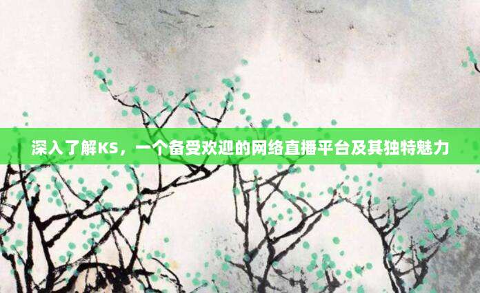 深入了解KS,一个备受欢迎的网络直播平台及其独特魅力