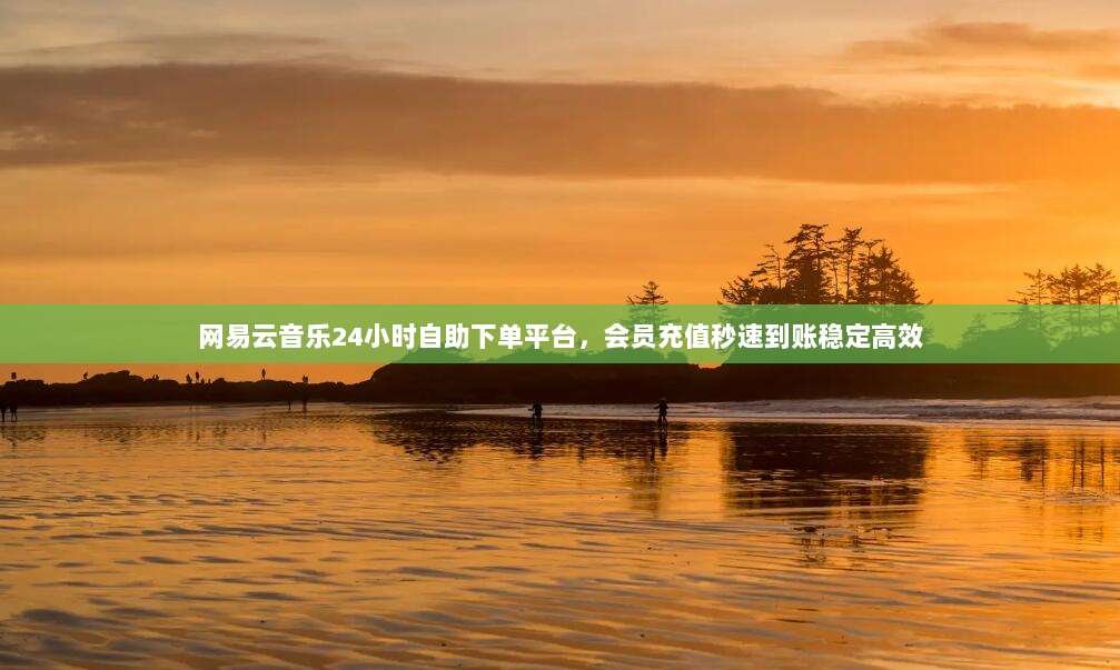 网易云音乐24小时自助下单平台,会员充值秒速到账稳定高效