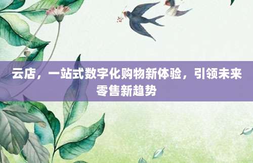 云店，一站式数字化购物新体验，引领未来零售新趋势