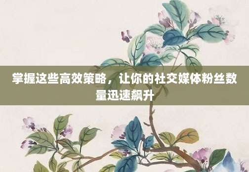 掌握这些高效策略，让你的社交媒体粉丝数量迅速飙升