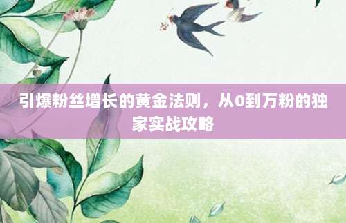 引爆粉丝增长的黄金法则,从0到万粉的独家实战攻略