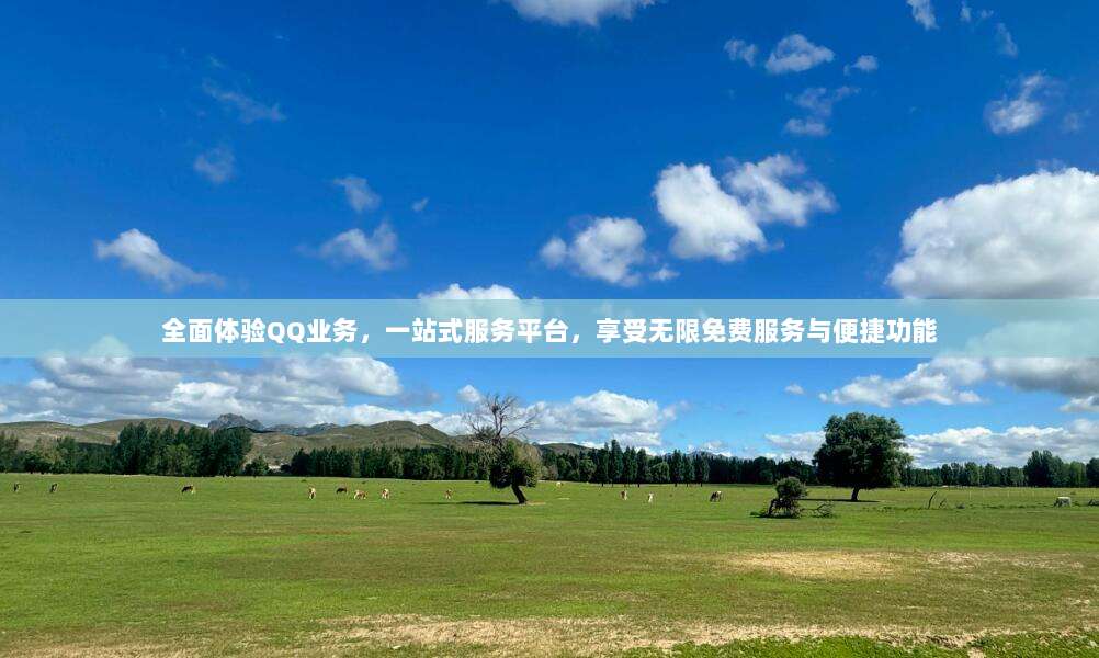 全面体验QQ业务,一站式服务平台,享受无限免费服务与便捷功能