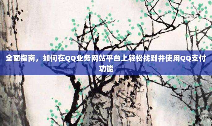 全面指南,如何在QQ业务网站平台上轻松找到并使用QQ支付功能
