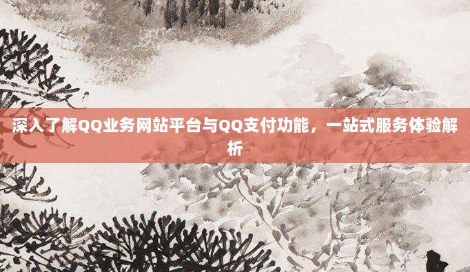 深入了解QQ业务网站平台与QQ支付功能，一站式服务体验解析