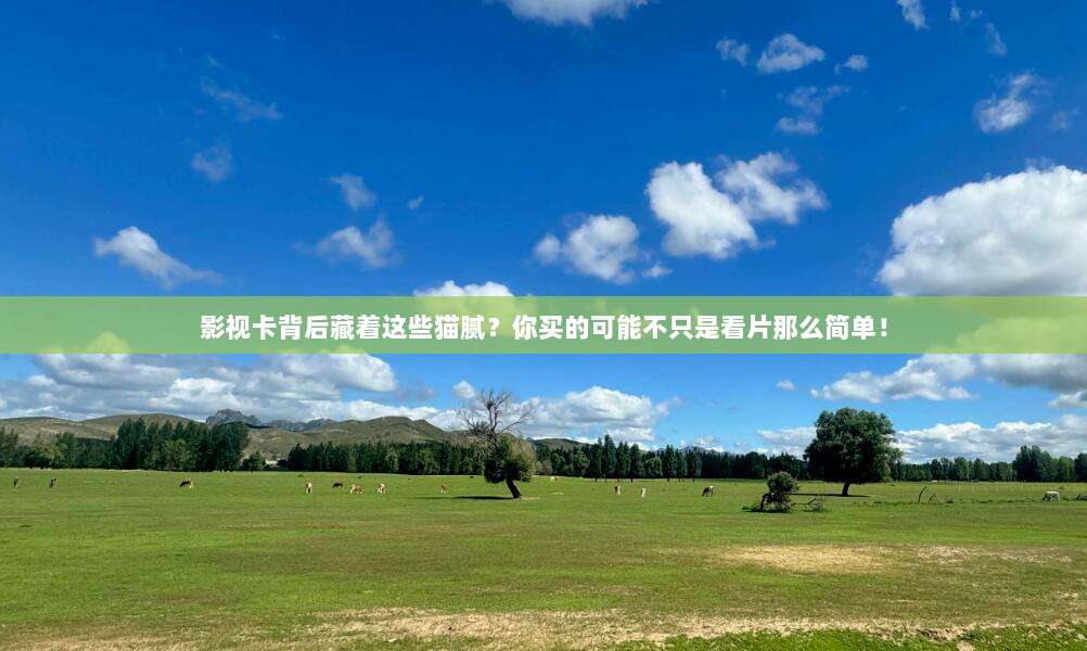 影视卡背后藏着这些猫腻？你买的可能不只是看片那么简单！