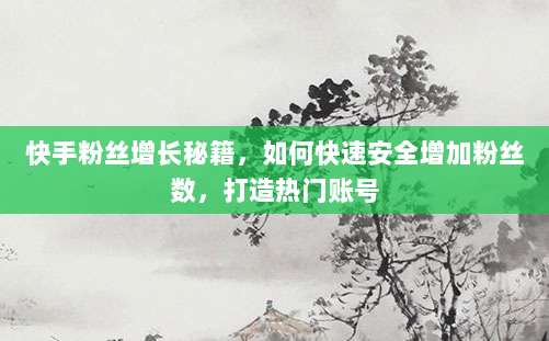 快手粉丝增长秘籍，如何快速安全增加粉丝数，打造热门账号