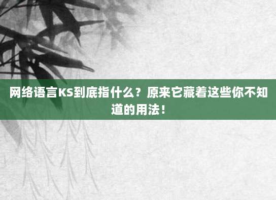 网络语言KS到底指什么？原来它藏着这些你不知道的用法！
