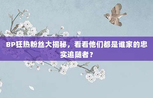BP狂热粉丝大揭秘，看看他们都是谁家的忠实追随者？