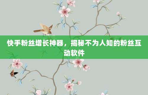 快手粉丝增长神器，揭秘不为人知的粉丝互动软件